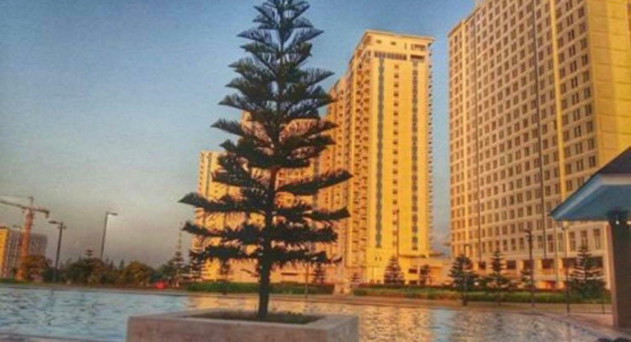 טגאיטאי Smdc Cool Residences Tower A Unit 1019 מראה חיצוני תמונה